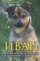 Иван. Жизнь, любовь и поводок глазами собаки, Тим Макхью 