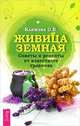 Тайны уссурийского женьшеня. Живица Земная (количество томов: 2), Семелев Николай Иванович, Климова Ольга Викторовна 