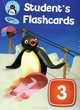 Pingu's English. Student's Flashcards 3, 