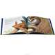 Scruffy Bear and the Lost Ball, Chris Wormell 