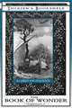 The Book of Wonder and the Last Book of Wonder - Illustrated, Edward John Moreton Dunsany 