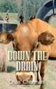 Down the Drain, 
