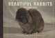 Beautiful Rabbits: Postcard Book: 30 Postcards of Champion Breeds to Keep or Send, 