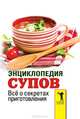 Энциклопедия супов. Все о секретах приготовления, 