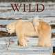 Wild 2014 Wall Calendar: Untamed Animals, Untouched Landscapes, Thomas D. Mangelsen 