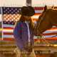 2014 American Quarter Horse Calendar, David R. Stoecklein 