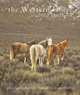 2014 Western Horse Datebook, David R. Stoecklein, David Stocklein 