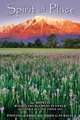 The Spirit of Place 2013 Engagement (calendar), John Gavrilis 