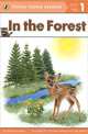 In the Forest: Level 1: Emergent Image, Alexa Andrews 