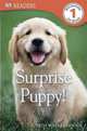Surprise Puppy, Hodge Judith 