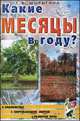 Какие месяцы в году? Знакомство с окружающим миром и развитие речи. Книга для воспитателей, гувернеров и родителей, Т. А. Шорыгина 