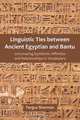 Linguistic Ties between Ancient Egyptian and Bantu, Fergus Sharman 