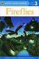 Fireflies: Level 3: Transitional Reader, Megan E. Bryant 