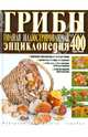 Грибы. Полная иллюстрированная энциклопедия. Более 400 видов грибов, Куреннов Иван Петрович 