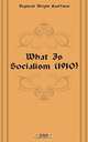 What Is Socialism (1910), Kauffman Reginald Wright 