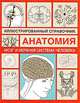 Анатомия. Иллюстрированный справочник. Мозг и нервная система человека, 