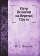 Петр Великий на берегах Прута, И.С. Некулче 