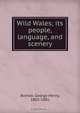Wild Wales, George Henry Borrow 