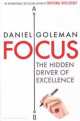 Focus. The Hidden Driver of Excellence, Daniel Goleman 