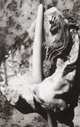 Araki, 