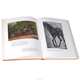 Аn American Bestiary, Mary Sayre Haverstock 