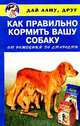 Как правильно кормить вашу собаку от рождения до старости, 