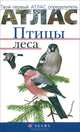 Атлас: Птицы леса, Е. Т. Бровкина, В. И. Сивоглазов 