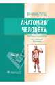 Анатомия человека. В 2-х томах. т. 2 (специальность 31.05.01 'Лечебное дело' и 31.05.02 'Педиатрия' по дисциплине 'Анатомия'; по специальности 32.05.01 'Мед.-проф. дело' по дисципл, Сапин Михаил Романович, Николенко Владимир Николаевич, Никитюк Дмитрий Борисович, Чава Светлана Валерьевна 