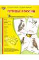 Демонстрационные картинки "Птицы России" (16 картинок), Цветкова Т. В. 