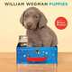 William Wegman Puppies 2013 Wall Calendar, William Wegman 