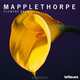 2013 Robert Mapplethorpe Flowers Wall Calendar, teNeues 
