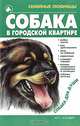 Собака в городской квартире, 