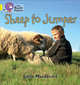 Sheep to Jumper, MacDonald Fiona 