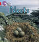 Nests, Graham Elspeth 