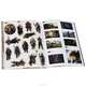 The Hobbit: The Desolation of Smaug: Ultimate Sticker Book, Gemma Barder 
