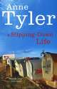A Slipping-Down Life, Anne Tyler 