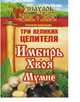 Три великих целителя. Имбирь, хвоя, мумиё, Григорий Михайлов 