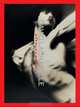David LaChapelle: Burning Beauty, Min-Jung Jonsson, Patrik Steorn, Matthias Harder, Anna Carnick 