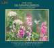 The Lang Hummingbirds Calendar 2013, 