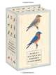 Sibley Backyard Birding Postcards: 100 Postcards, David Sibley 