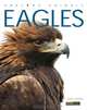 Amazing Animals: Eagles, Kate Riggs 