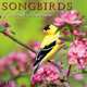 Songbirds of North America 2013 Mini (calendar), Sellers Publishing 
