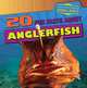 20 Fun Facts About Anglerfish (Fun Fact File), Heather Moore Niver 