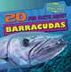20 Fun Facts About Barracudas (Fun Fact File), Heather Moore Niver 