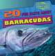 20 Fun Facts about Barracudas (Fun Fact File), Heather Moore Niver 