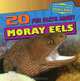 20 Fun Facts About Moray Eels (Fun Fact File), Heather Moore Niver 