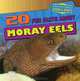 20 Fun Facts about Moray Eels (Fun Fact File), Heather Moore Niver 