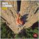 Rock Climbing 2013 Square 12X12 Wall Calendar, BrownTrout Publishers 
