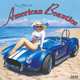 2014 American Beauties Wall, Zebra Publishing Corp. 