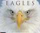 Eagles 2013 Wall Calendar, Willow Creek Press 